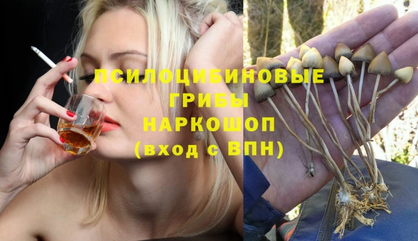 индика Алексеевка