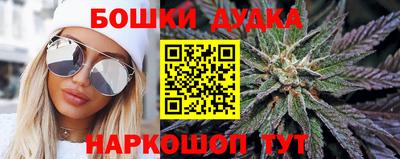 прущие крисы Аргун