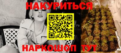прущие крисы Аргун