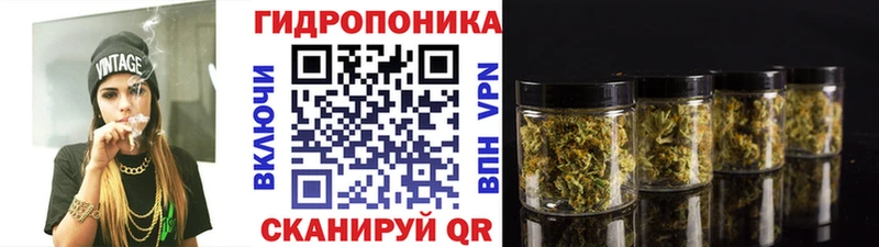 Бошки марихуана план  Белорецк 